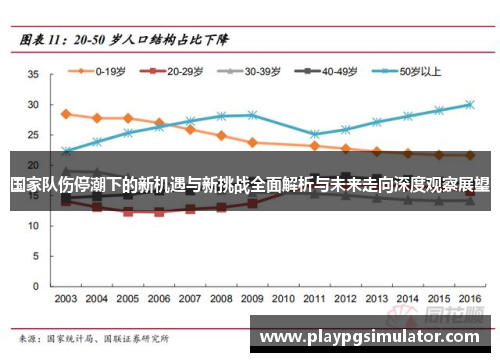 国家队伤停潮下的新机遇与新挑战全面解析与未来走向深度观察展望