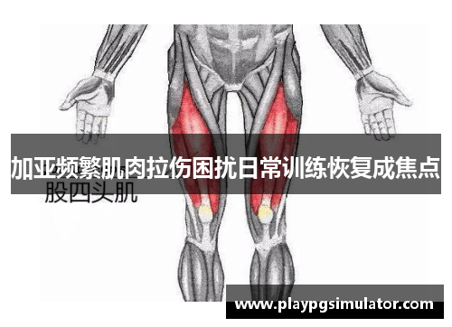 加亚频繁肌肉拉伤困扰日常训练恢复成焦点 加亚频繁肌肉拉伤困扰日常训练恢复成焦点