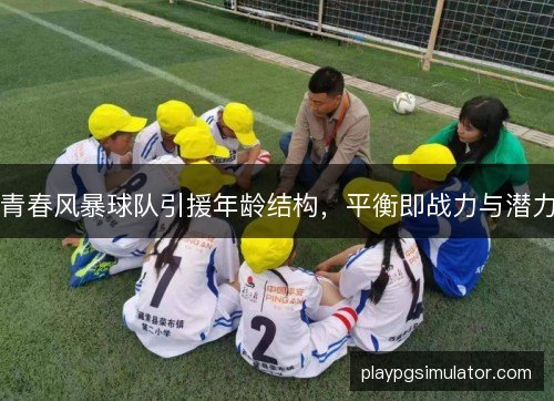 青春风暴球队引援年龄结构,平衡即战力与潜力 青春风暴球队引援年龄结构,平衡即战力与潜力